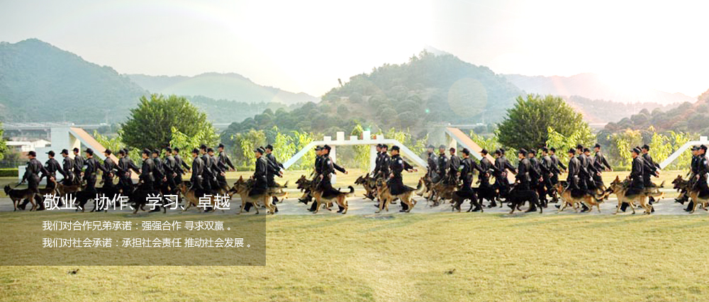 敬業(yè)、協(xié)作、學(xué)習(xí)、卓越